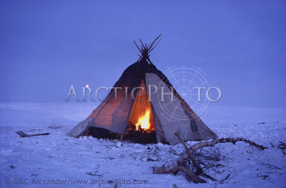 Sami tent/lavvu made from birch poles & blankets has a fire burning inside. North Norway. 1985